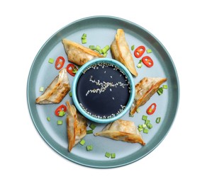 Delicious fried gyoza dumplings with green onions, chili peppers and soy sauce isolated on white, top view