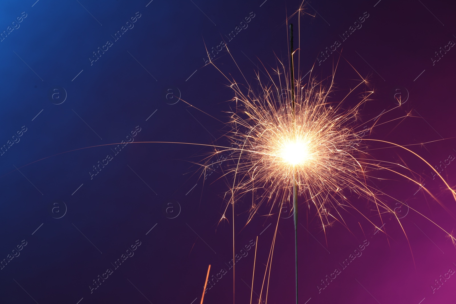 Photo of Bright burning sparkler in color lights, closeup. Space for text