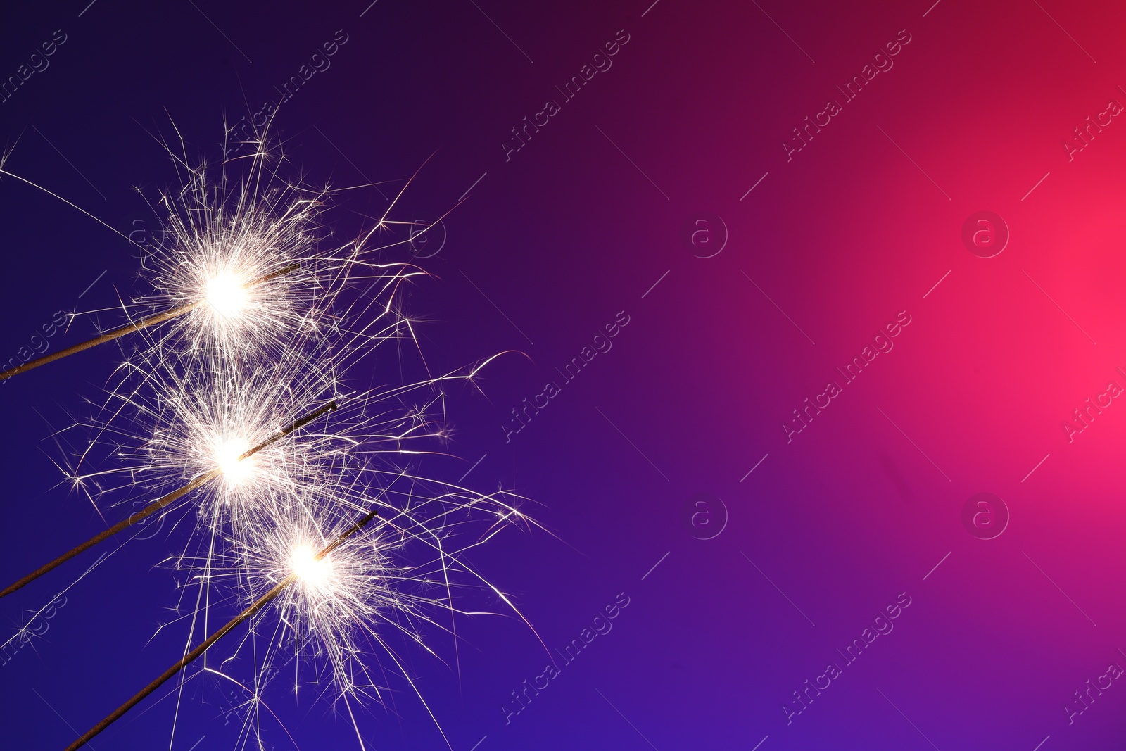 Photo of Bright burning sparklers on color gradient background, closeup. Space for text