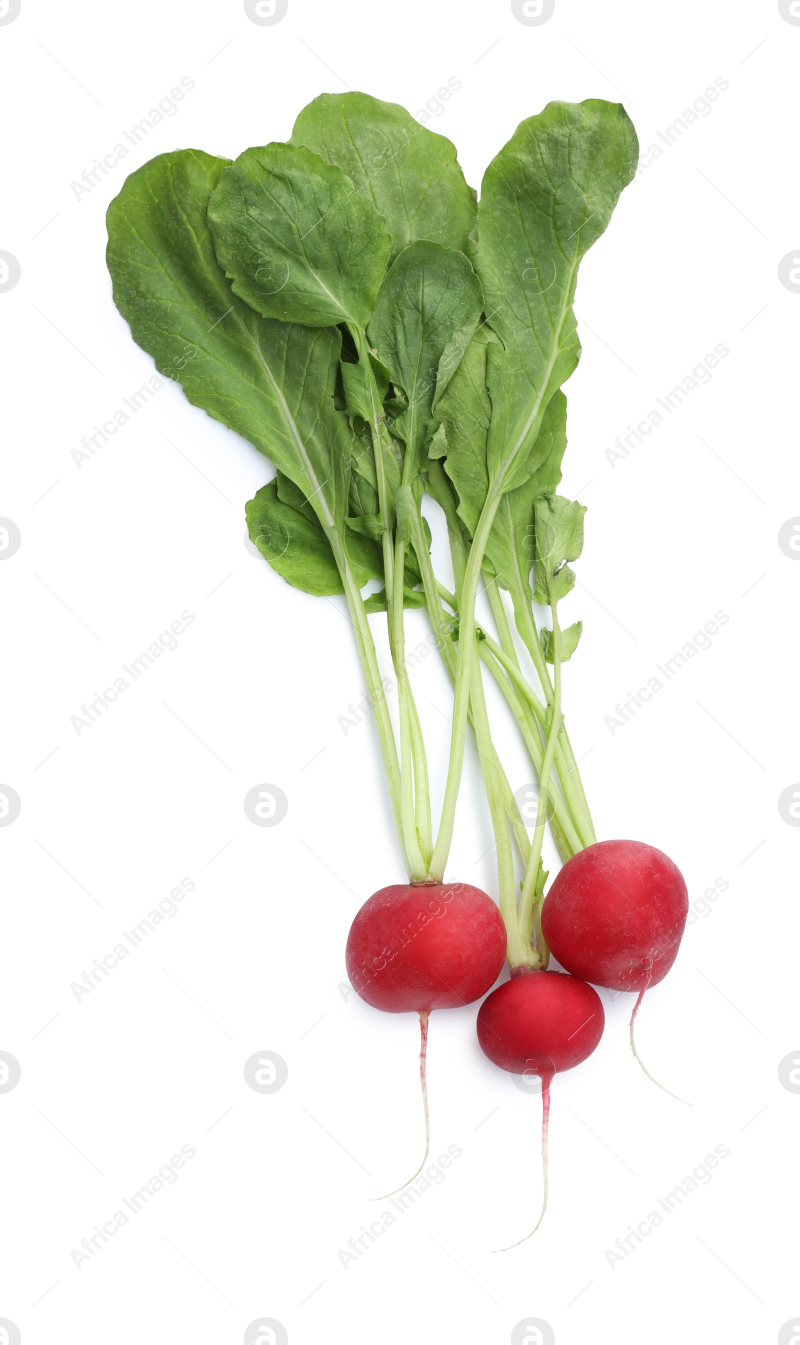 Photo of Three fresh ripe radishes isolated on white, top view