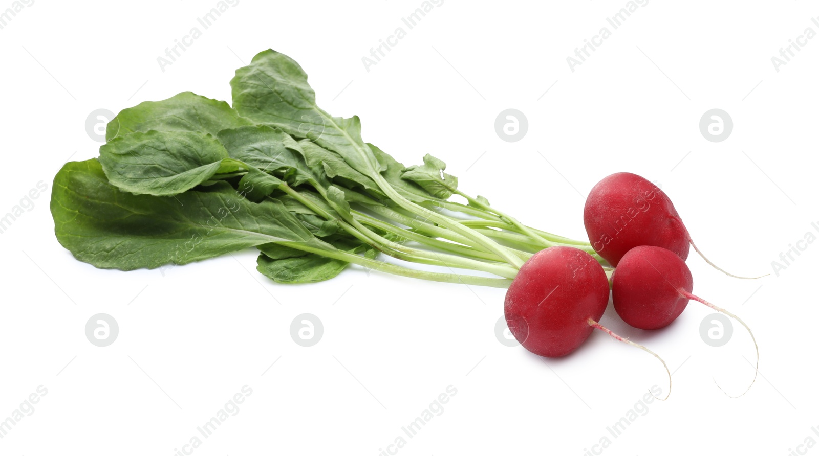 Photo of Three fresh ripe radishes isolated on white