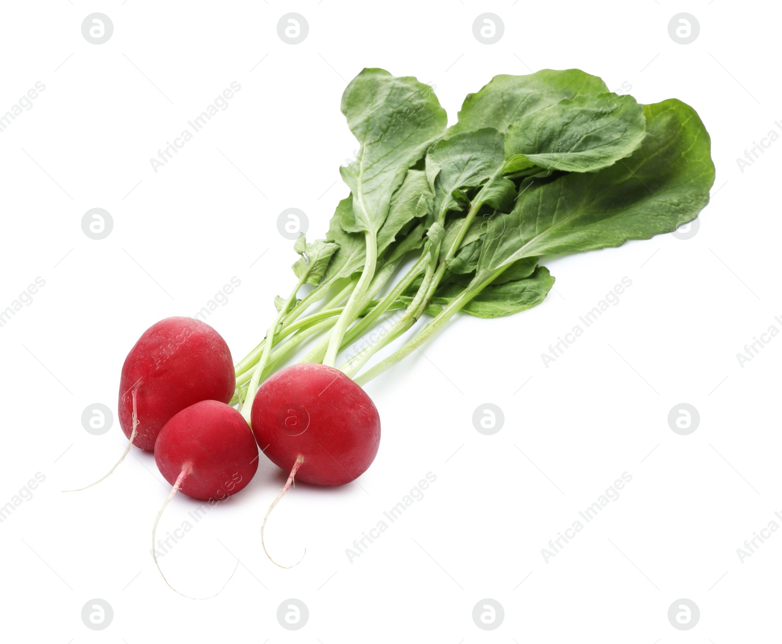 Photo of Three fresh ripe radishes isolated on white