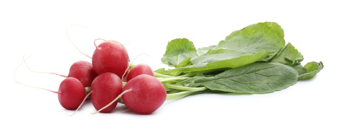 Photo of Bunch of fresh ripe radishes isolated on white