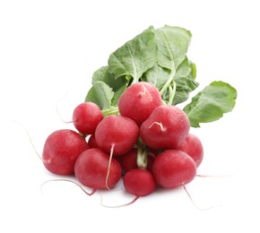 Photo of Bunch of fresh ripe radishes isolated on white