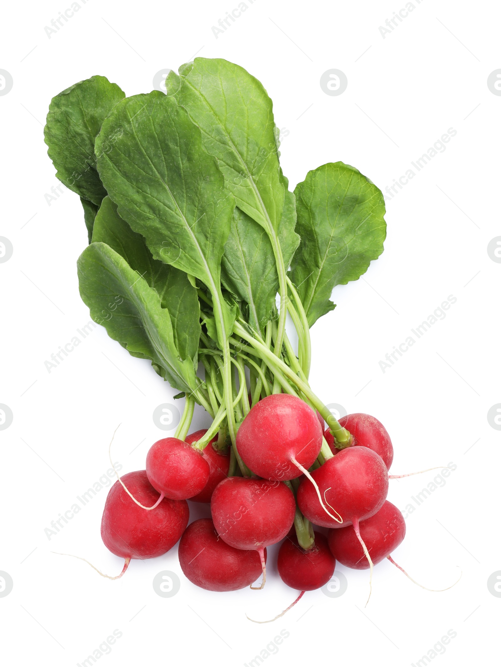 Photo of Bunch of fresh ripe radishes isolated on white, top view