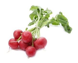 Photo of Bunch of fresh ripe radishes isolated on white