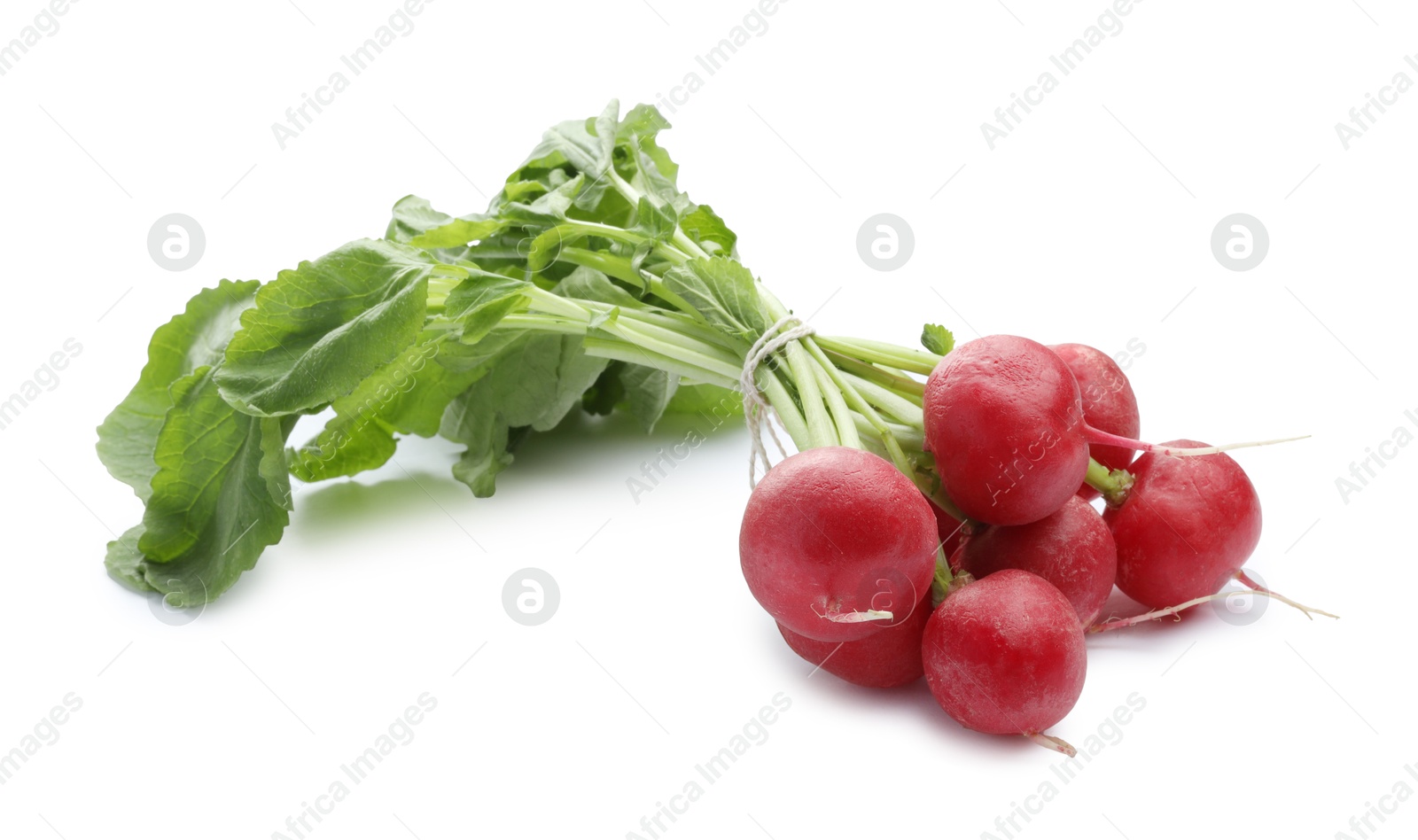 Photo of Bunch of fresh ripe radishes isolated on white