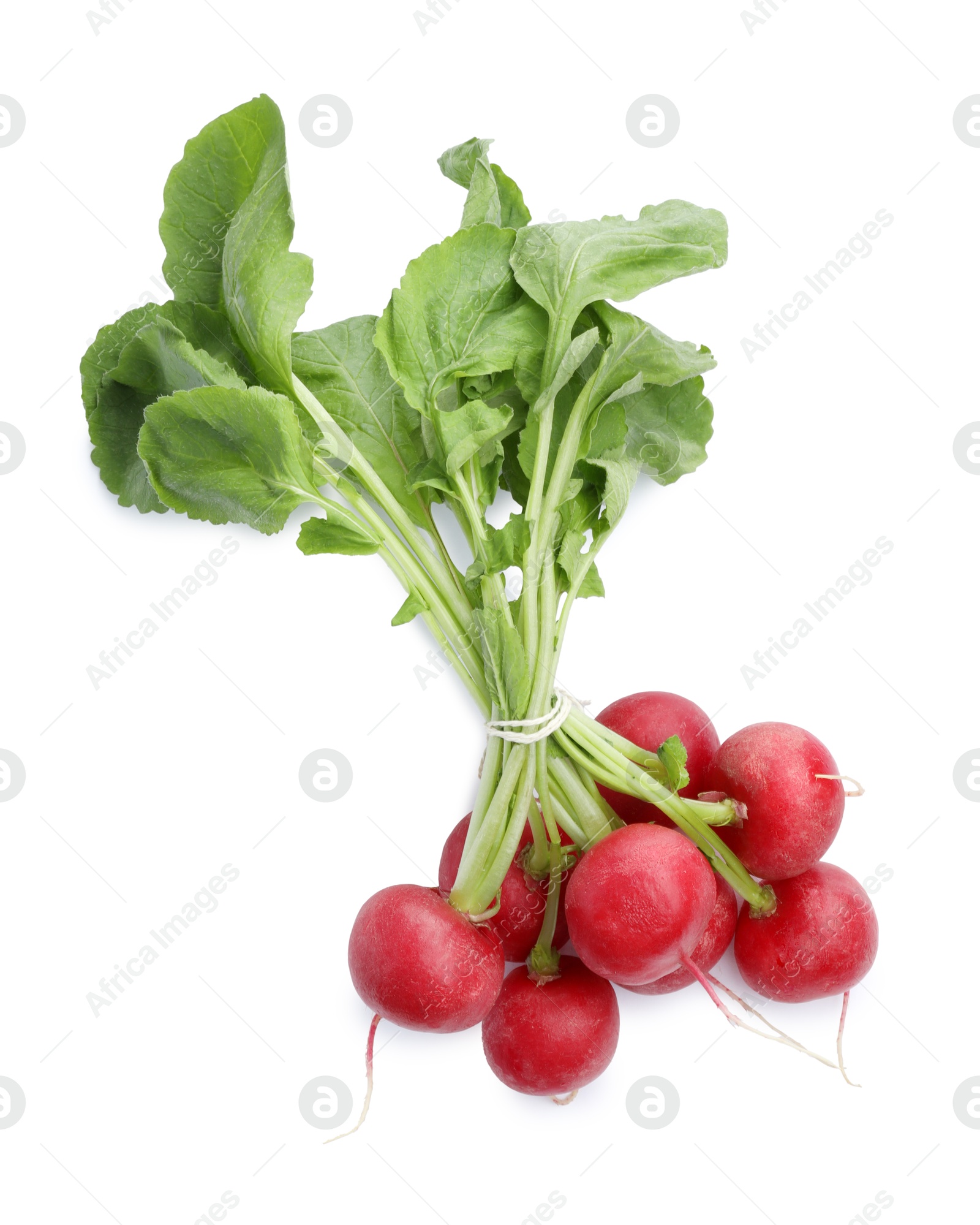 Photo of Bunch of fresh ripe radishes isolated on white, top view