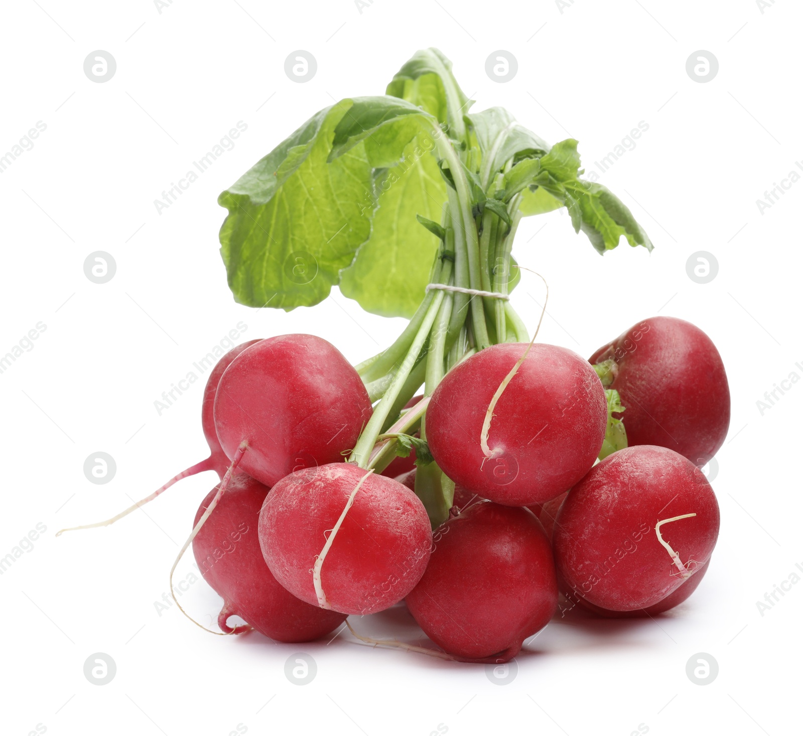 Photo of Bunch of fresh ripe radishes isolated on white