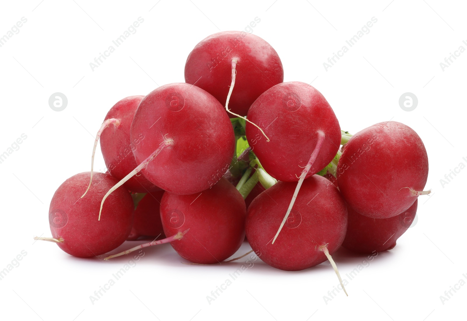 Photo of Bunch of fresh ripe radishes isolated on white