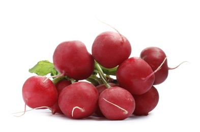 Photo of Bunch of fresh ripe radishes isolated on white