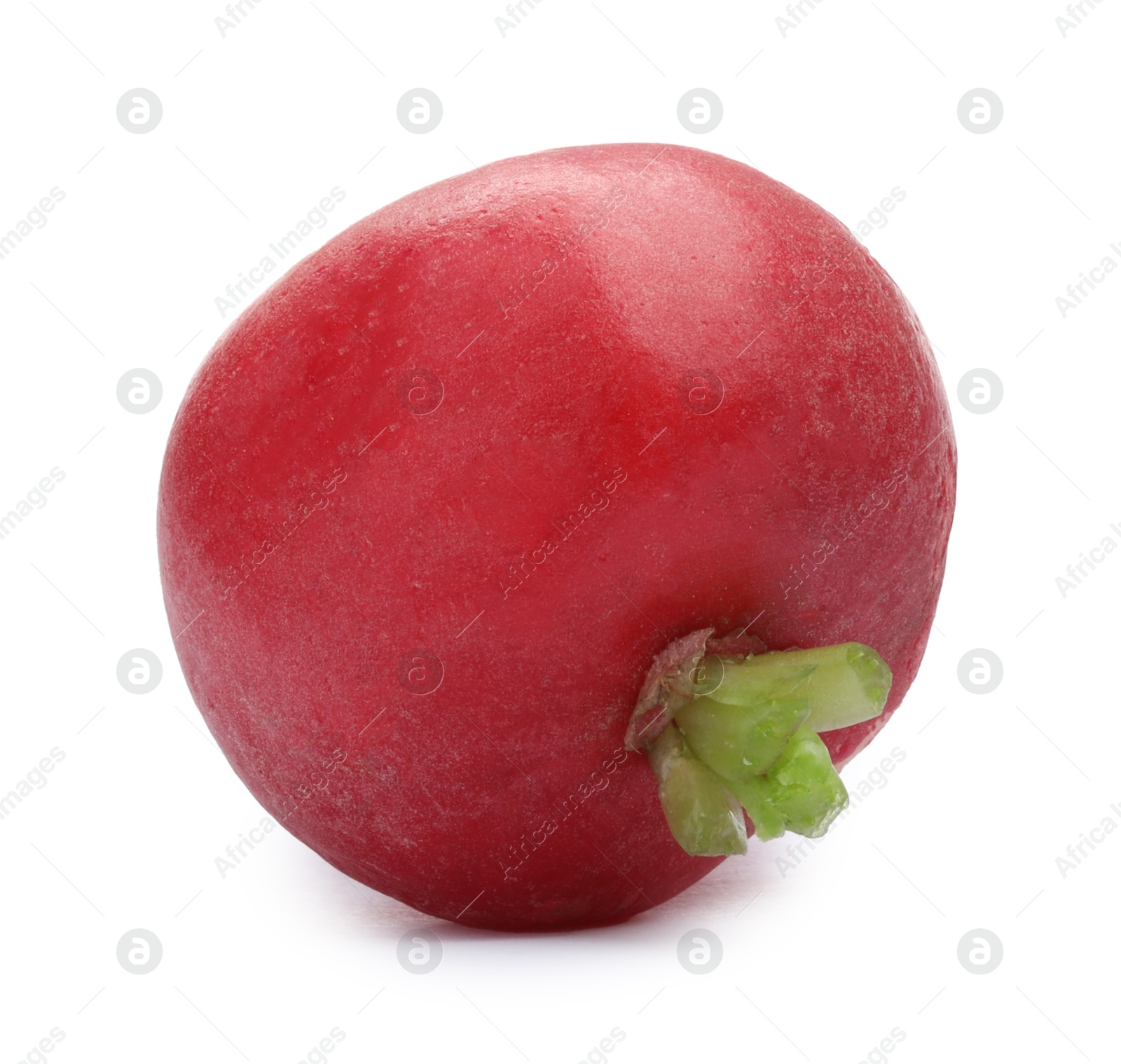 Photo of One fresh ripe radish isolated on white