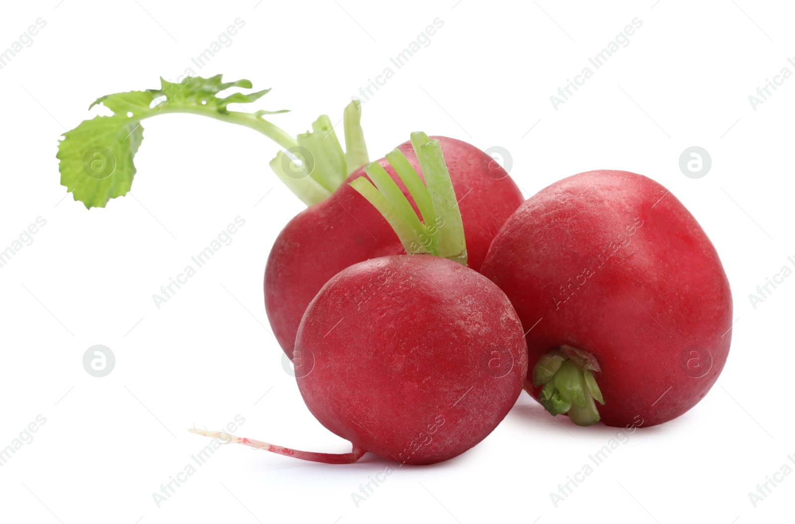 Photo of Three fresh ripe radishes isolated on white