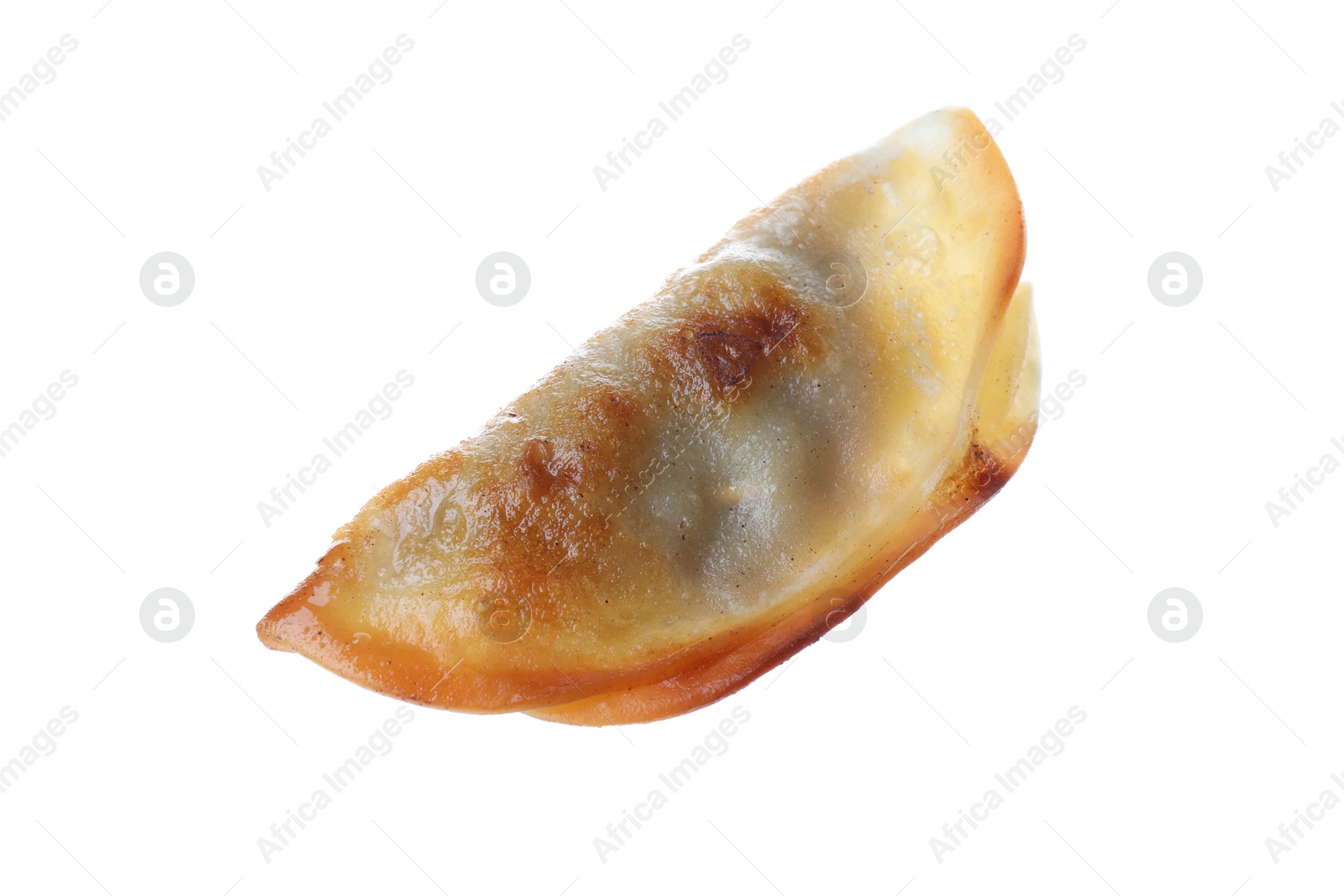 Photo of One fried gyoza dumpling isolated on white