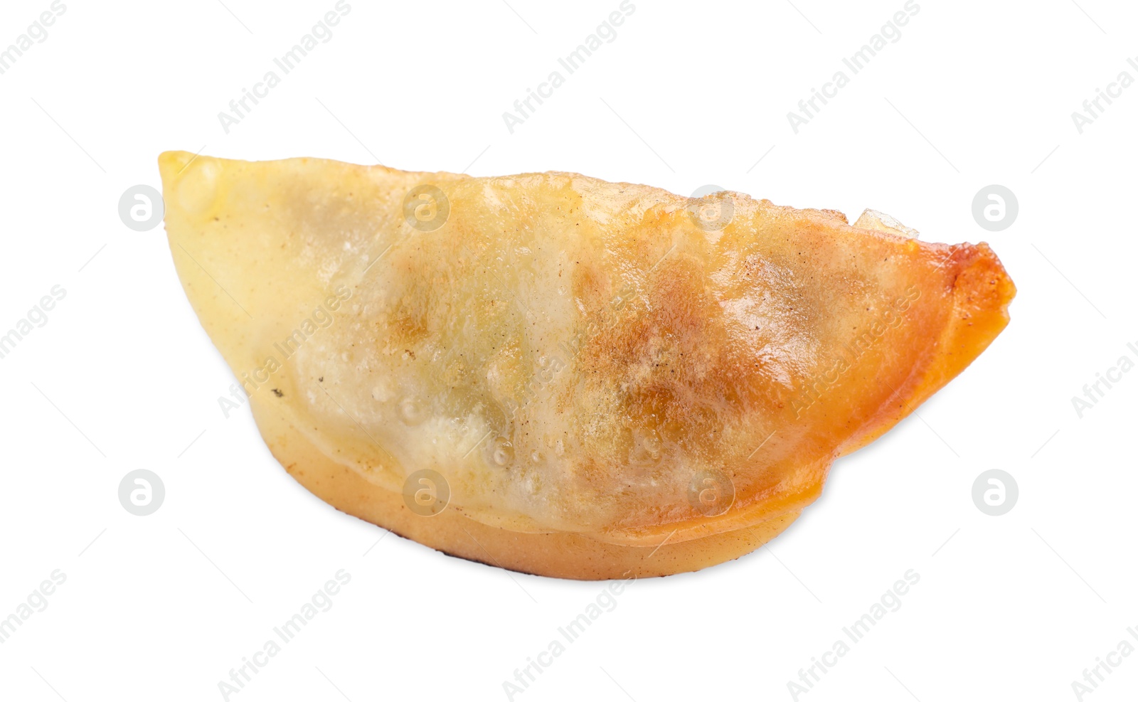 Photo of One fried gyoza dumpling isolated on white