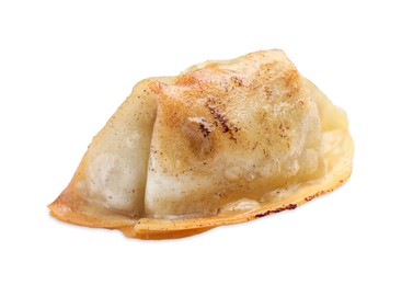 Photo of One fried gyoza dumpling isolated on white