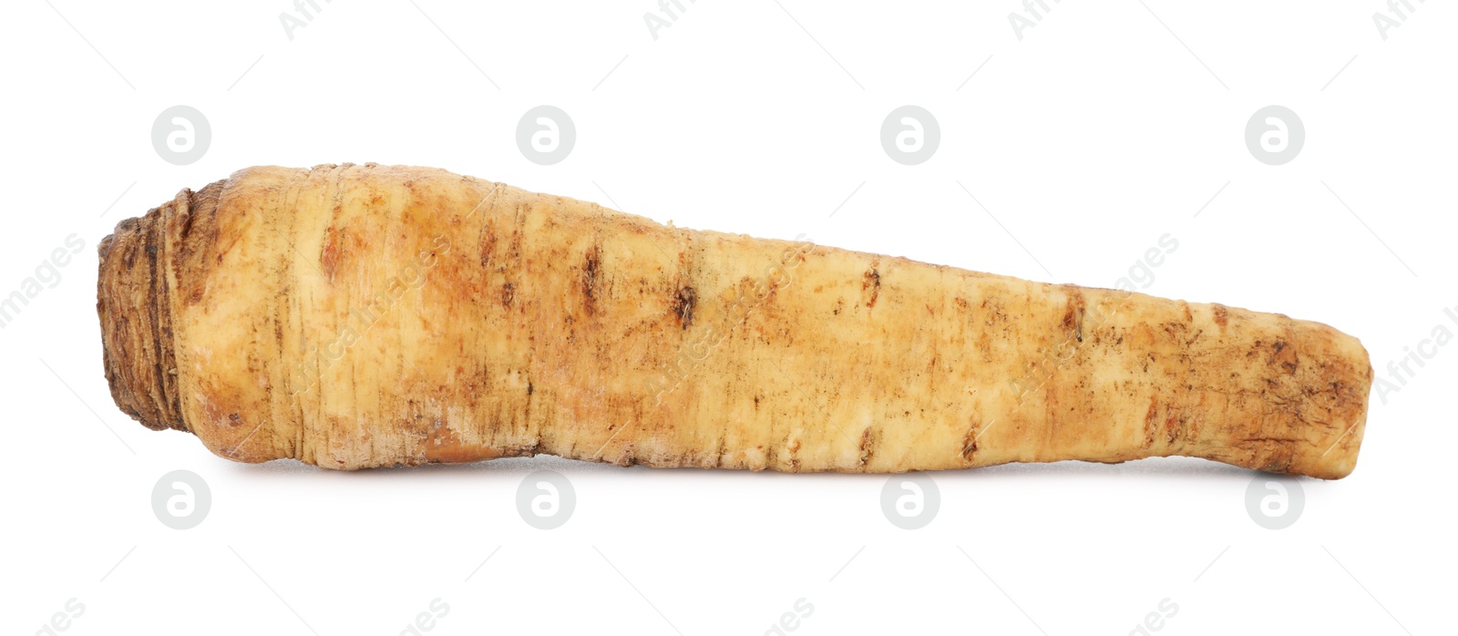 Photo of One fresh parsnip isolated on white. Root vegetable