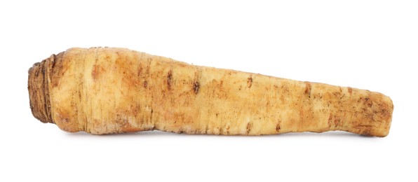 Photo of One fresh parsnip isolated on white. Root vegetable