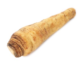 Photo of One fresh parsnip isolated on white. Root vegetable