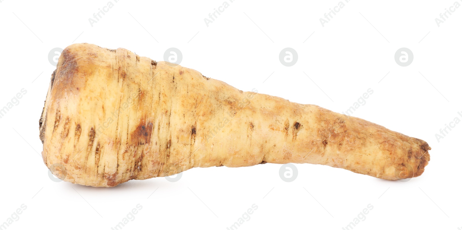 Photo of One fresh parsnip isolated on white. Root vegetable