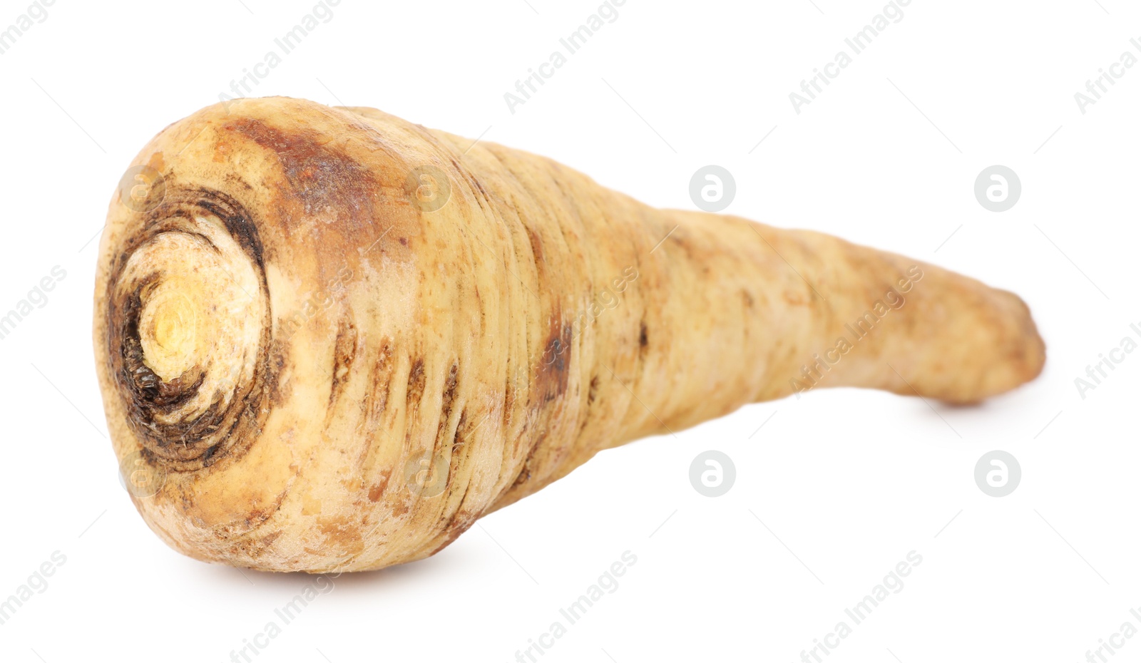 Photo of One fresh parsnip isolated on white. Root vegetable