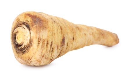 Photo of One fresh parsnip isolated on white. Root vegetable