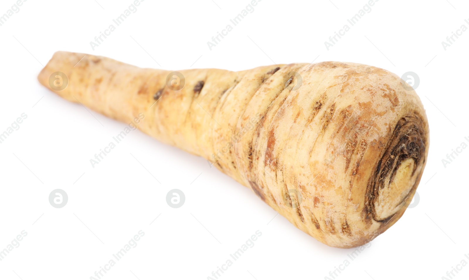 Photo of One fresh parsnip isolated on white. Root vegetable