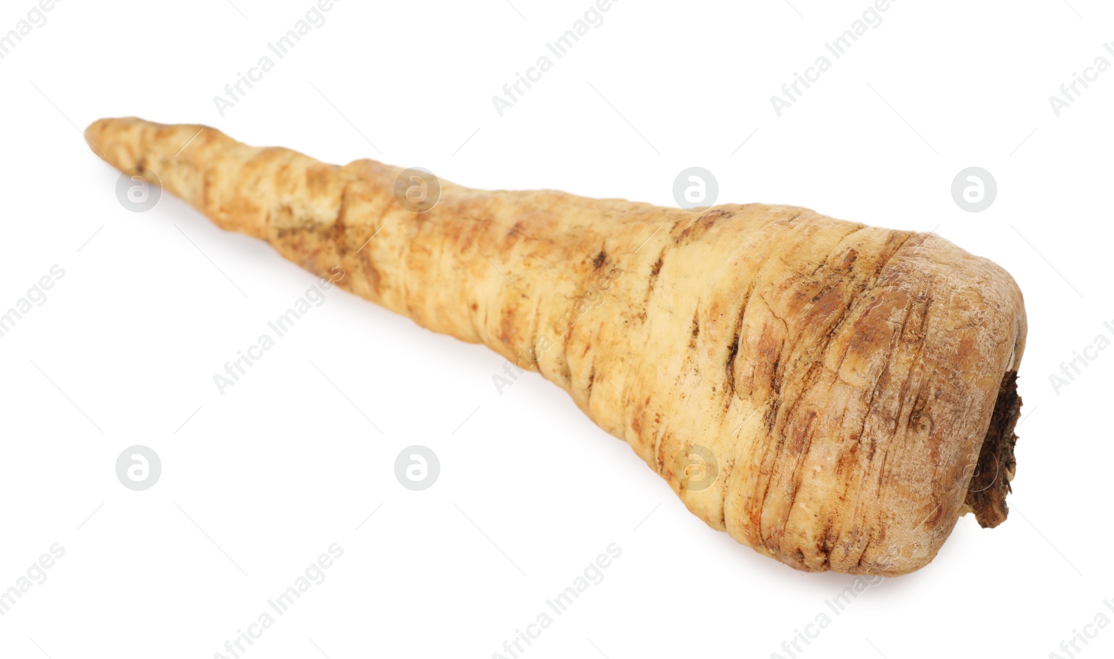 Photo of One fresh parsnip isolated on white. Root vegetable