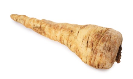 Photo of One fresh parsnip isolated on white. Root vegetable