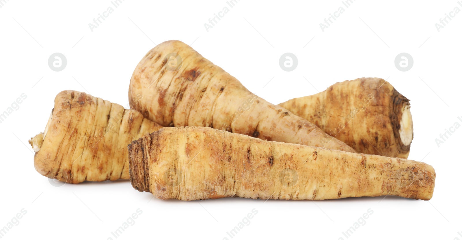 Photo of Many fresh parsnips isolated on white. Root vegetable