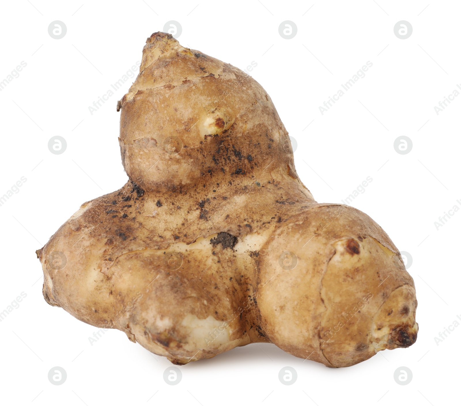 Photo of Fresh Jerusalem artichoke isolated on white. Root vegetable