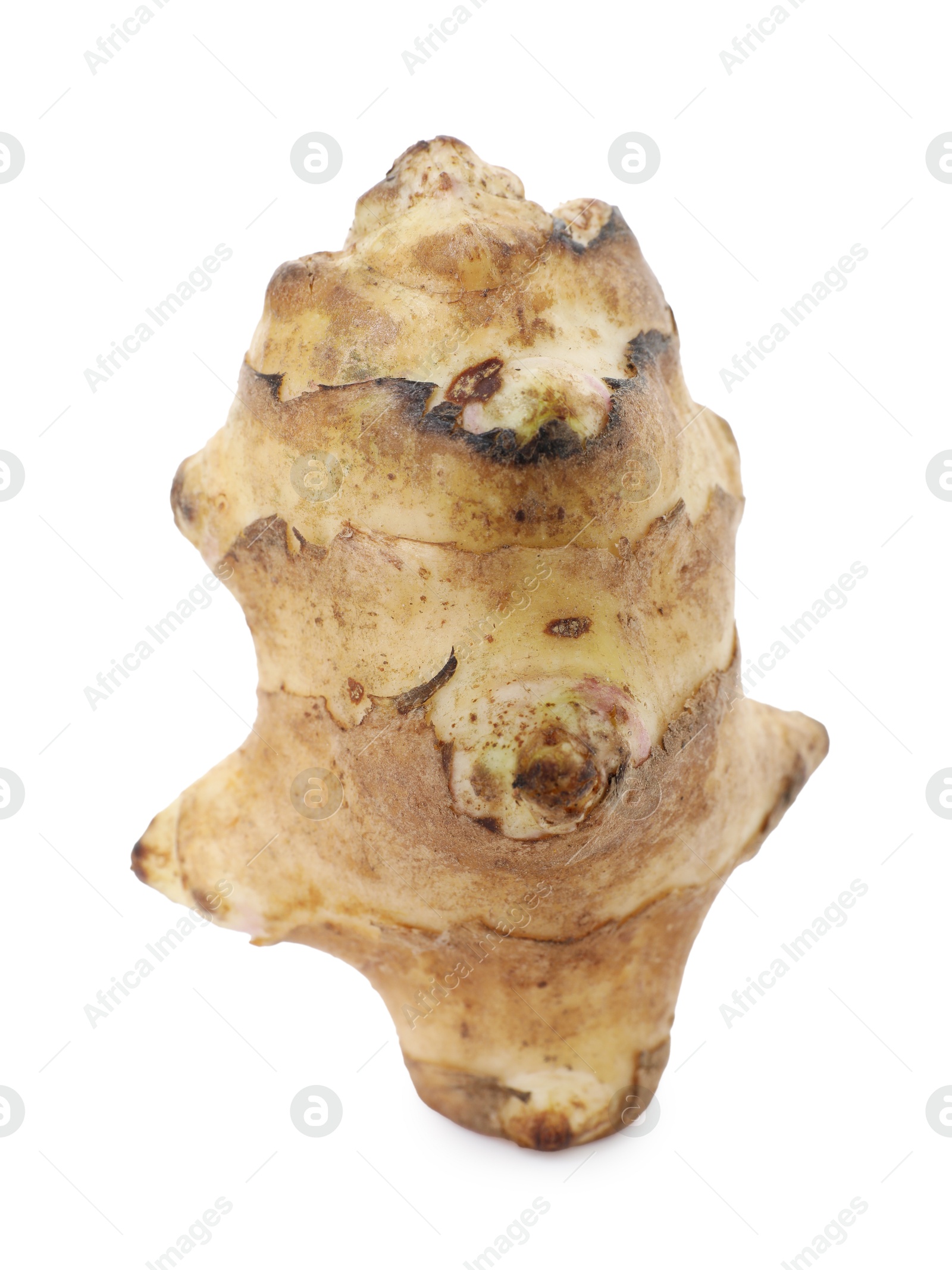 Photo of Fresh Jerusalem artichoke isolated on white. Root vegetable