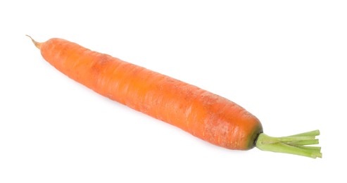 Photo of One fresh carrot isolated on white. Root vegetable