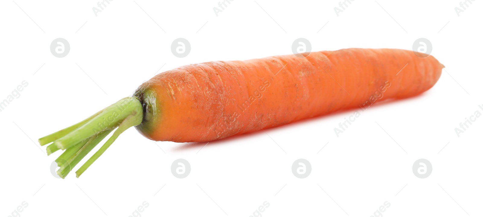 Photo of One fresh carrot isolated on white. Root vegetable