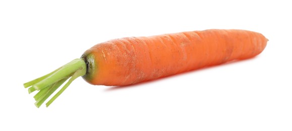 Photo of One fresh carrot isolated on white. Root vegetable