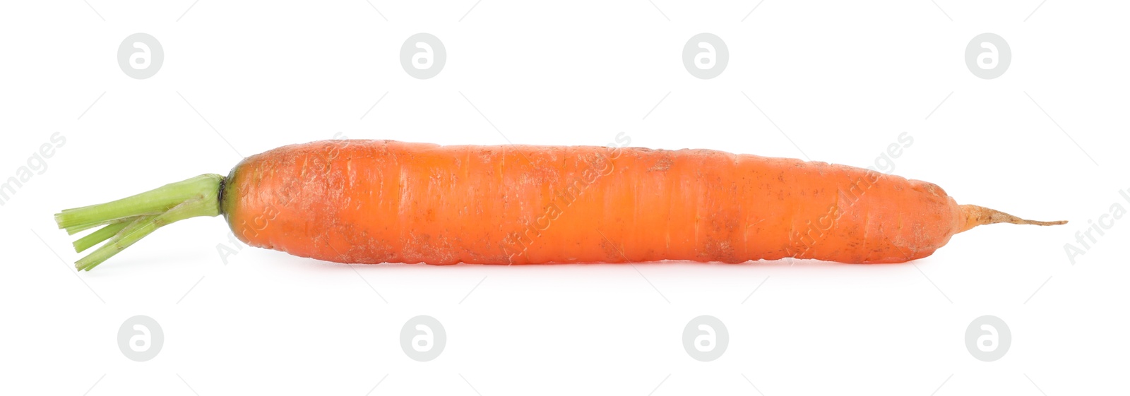 Photo of One fresh carrot isolated on white. Root vegetable