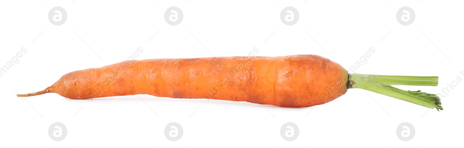 Photo of One fresh carrot isolated on white. Root vegetable