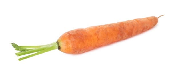 Photo of One fresh carrot isolated on white. Root vegetable