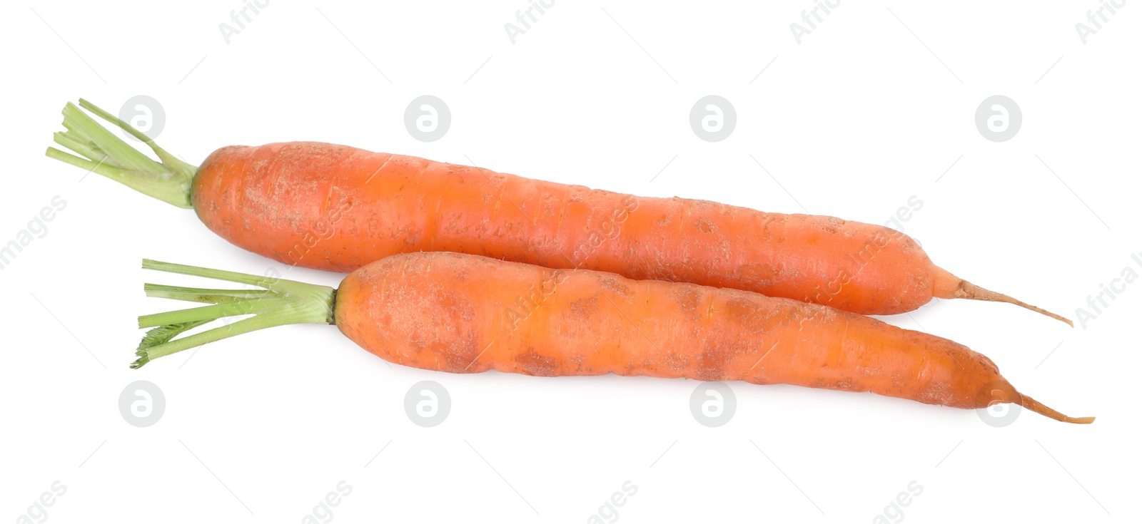 Photo of Fresh carrots isolated on white. Root vegetable