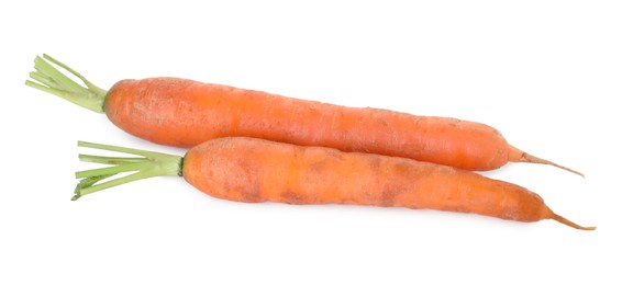 Photo of Fresh carrots isolated on white. Root vegetable