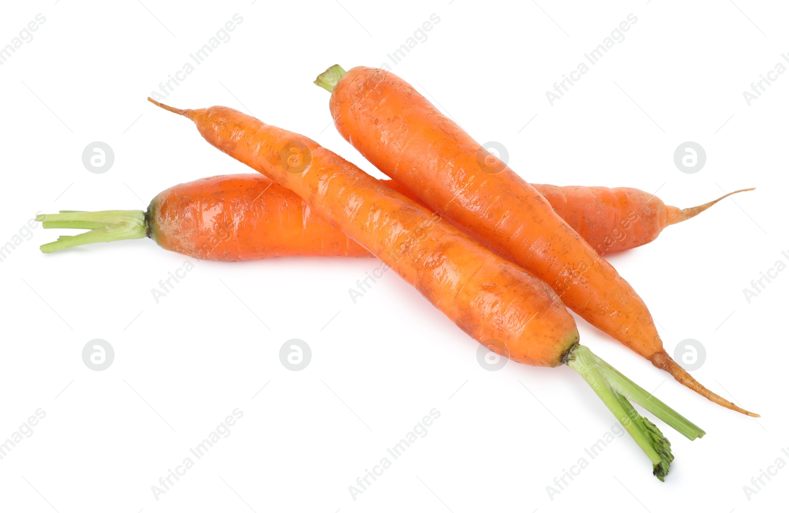 Photo of Fresh carrots isolated on white. Root vegetable