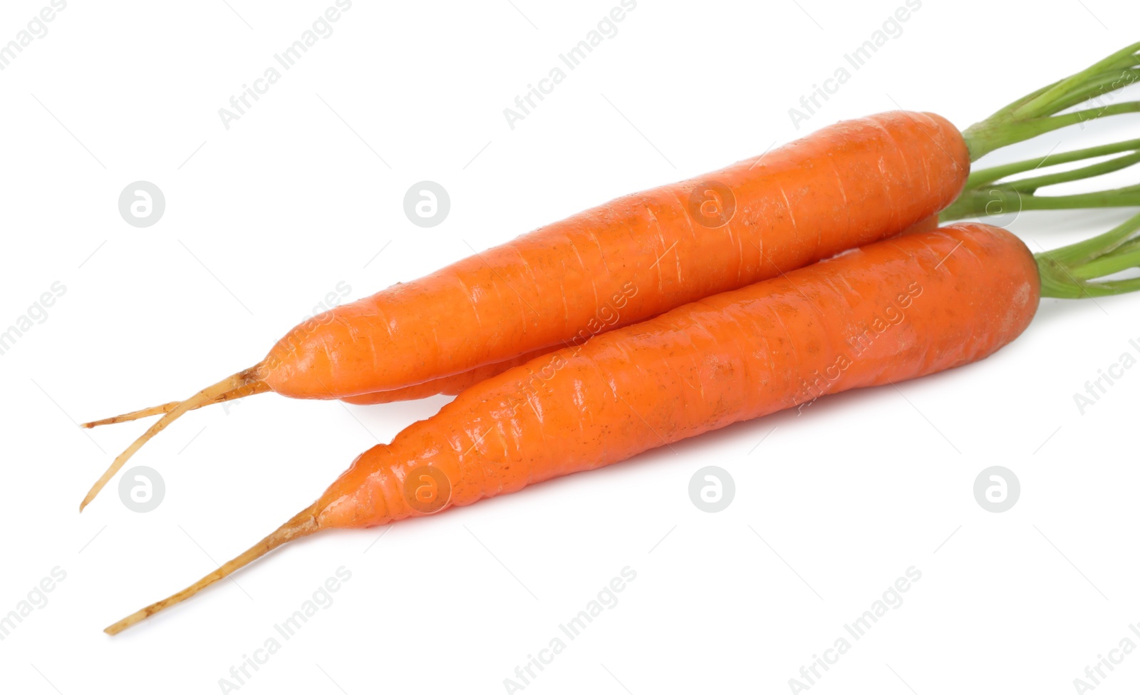 Photo of Fresh carrots isolated on white. Root vegetable