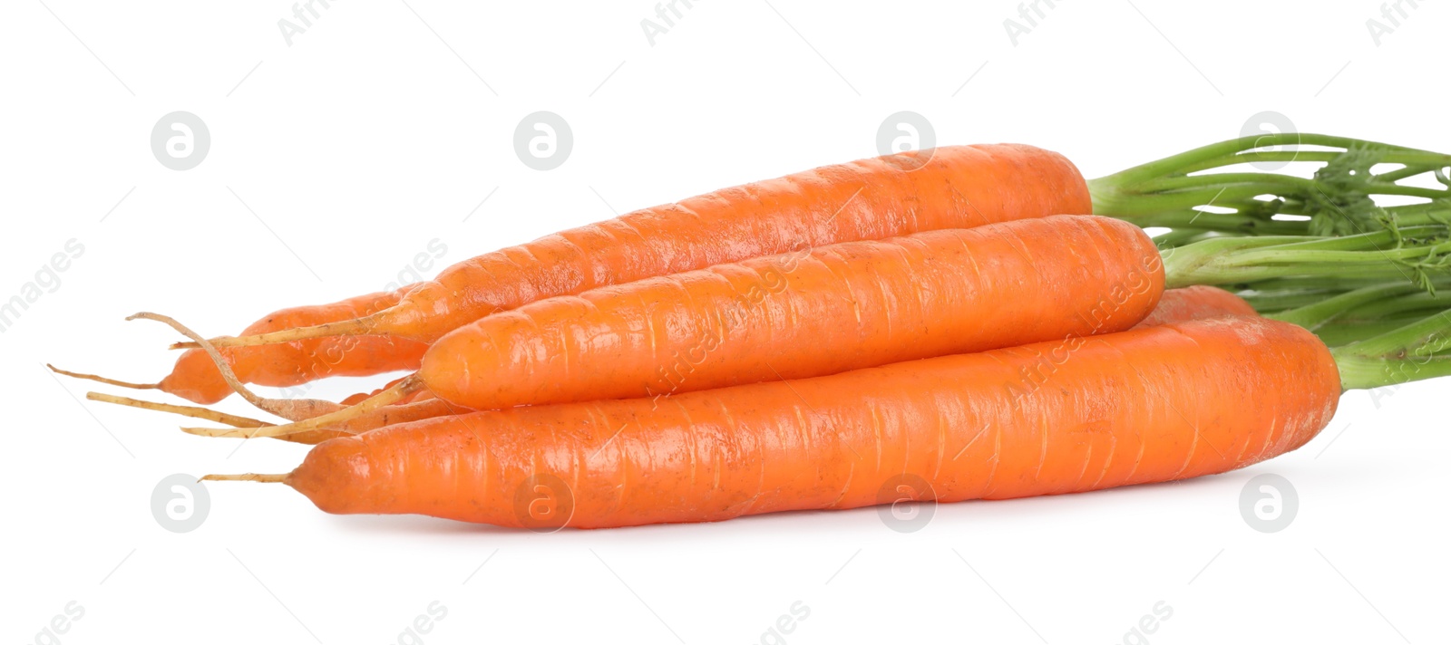 Photo of Fresh carrots isolated on white. Root vegetable