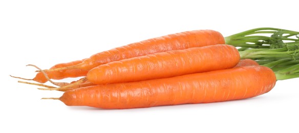 Photo of Fresh carrots isolated on white. Root vegetable