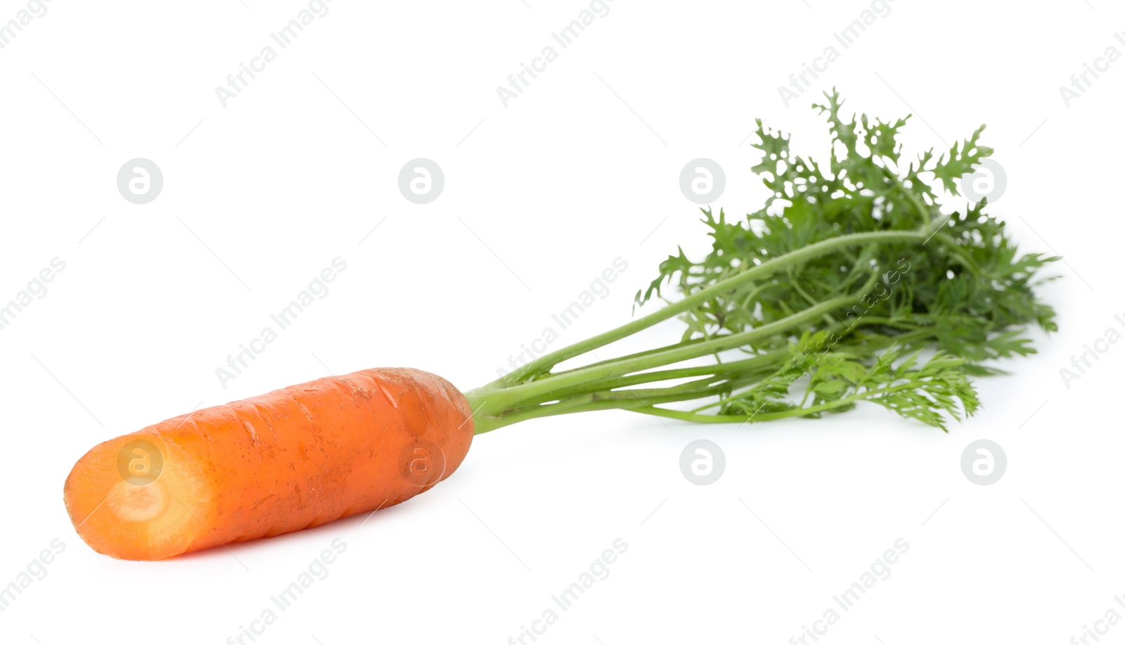 Photo of One cut fresh carrot isolated on white. Root vegetable