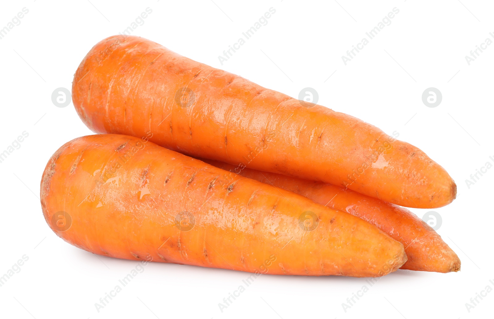 Photo of Fresh carrots isolated on white. Root vegetable