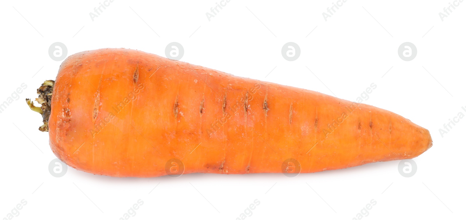 Photo of One fresh carrot isolated on white. Root vegetable