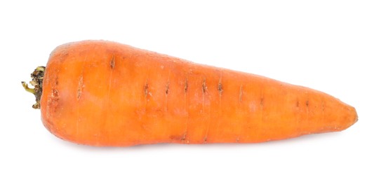 Photo of One fresh carrot isolated on white. Root vegetable