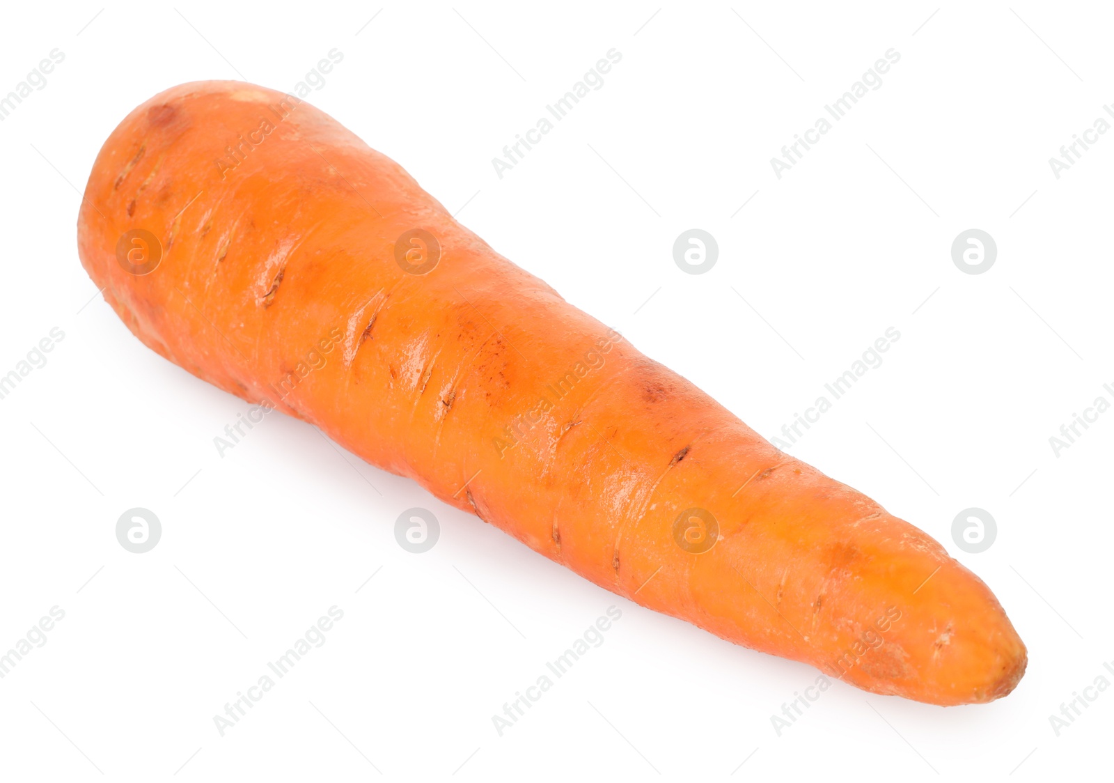 Photo of One fresh carrot isolated on white. Root vegetable