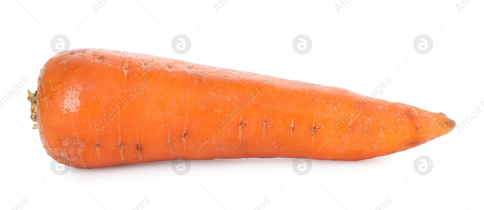 Photo of One fresh carrot isolated on white. Root vegetable